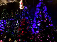 Christmas 2015 at the Garden Centre